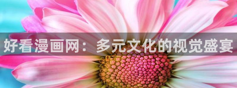 韩漫漫画完整版：好看漫画网：多元文化的视觉盛宴