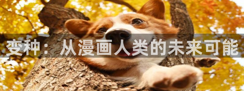韩漫超级吸引力漫画：变种：从漫画人类的未来可能