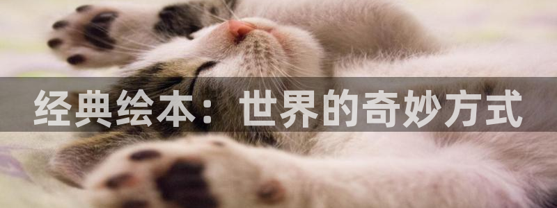 歪歪韩漫免费观看：经典绘本：世界的奇妙方式
