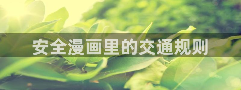 黑道千金韩漫画：安全漫画里的交通规则