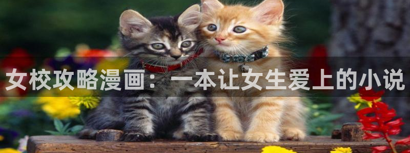 歪歪韩漫无羞遮漫画免费：女校攻略漫画：一本让女生爱上的小说