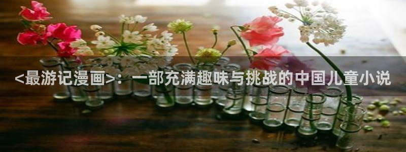 香蕉韩漫画：<最游记漫画>：一部充满趣味与挑战的中国儿童小说