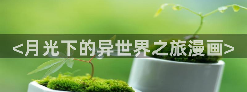 韩漫网址大全：<月光下的异世界之旅漫画>