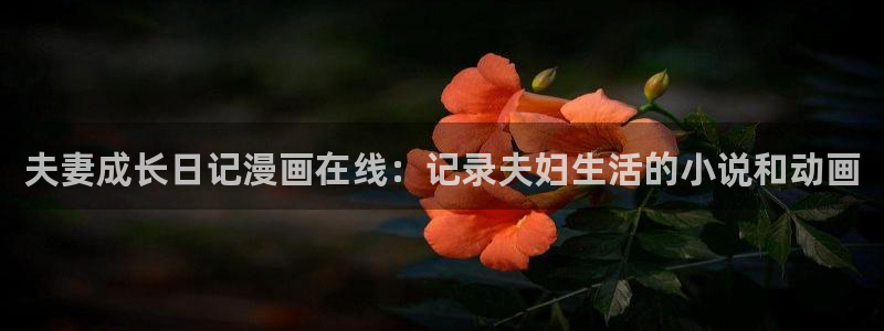 美丽新世界韩漫网址：夫妻成长日记漫画在线：记录夫妇生活的小说和动画