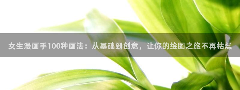 3d韩漫网站：女生漫画手100种画法：从基础到创意，让你的绘图之旅不再枯燥
