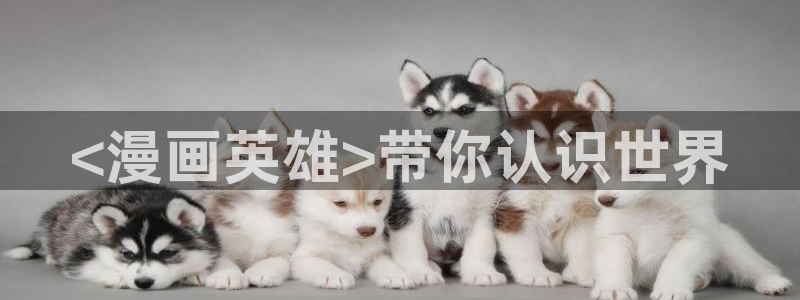 漫画男男韩漫：<漫画英雄>带你认识世界