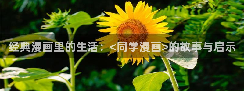 好看的漫画韩漫免费看：经典漫画里的生活：<同学漫画>的故事与启示