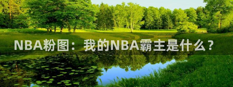 韩漫在线观看免费看：NBA粉图：我的NBA霸主是什么？
