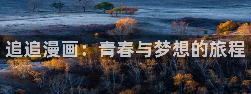 韩漫免费漫画在线观看大全：追追漫画：青春与梦想的旅程