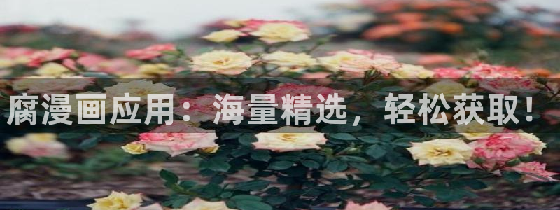 韩漫画漫免费观看免费：腐漫画应用：海量精选，轻松获取！